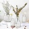 Set of 6 Glass Vases, Clear Glass Bud Vases, Small Flower Vases, Decorative Glass Bottles, Vintage Look Apothecary Jars for Wedding Dining Table Home Decor (Wide Clear)